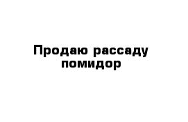 Продаю рассаду помидор